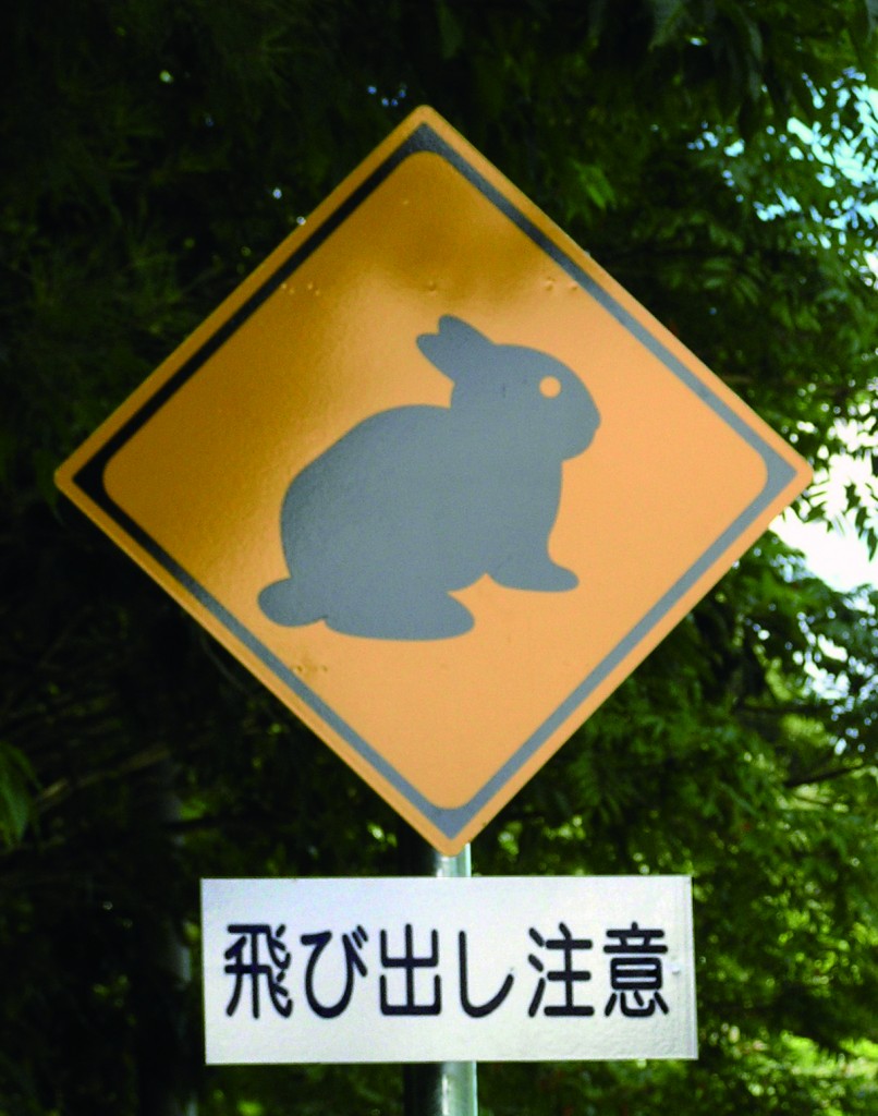 アマミノクロウサギの交通事故防止看板