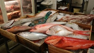 美味しい！面白い！新種の発見！？奄美の魚は前川水産におまかせ！！