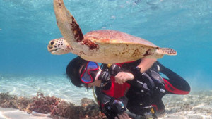 【奄美の海を楽しむ8の方法】ダイビング、釣り、海鮮丼！