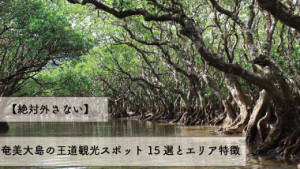 【絶対外さない】奄美大島の王道観光スポット15選とエリア特徴