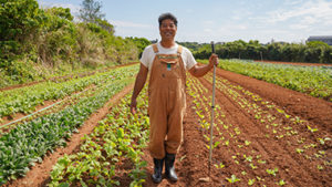 島野菜のおいしさを子どもたちに伝えたい。無農薬で野菜を育てるくすだファーム