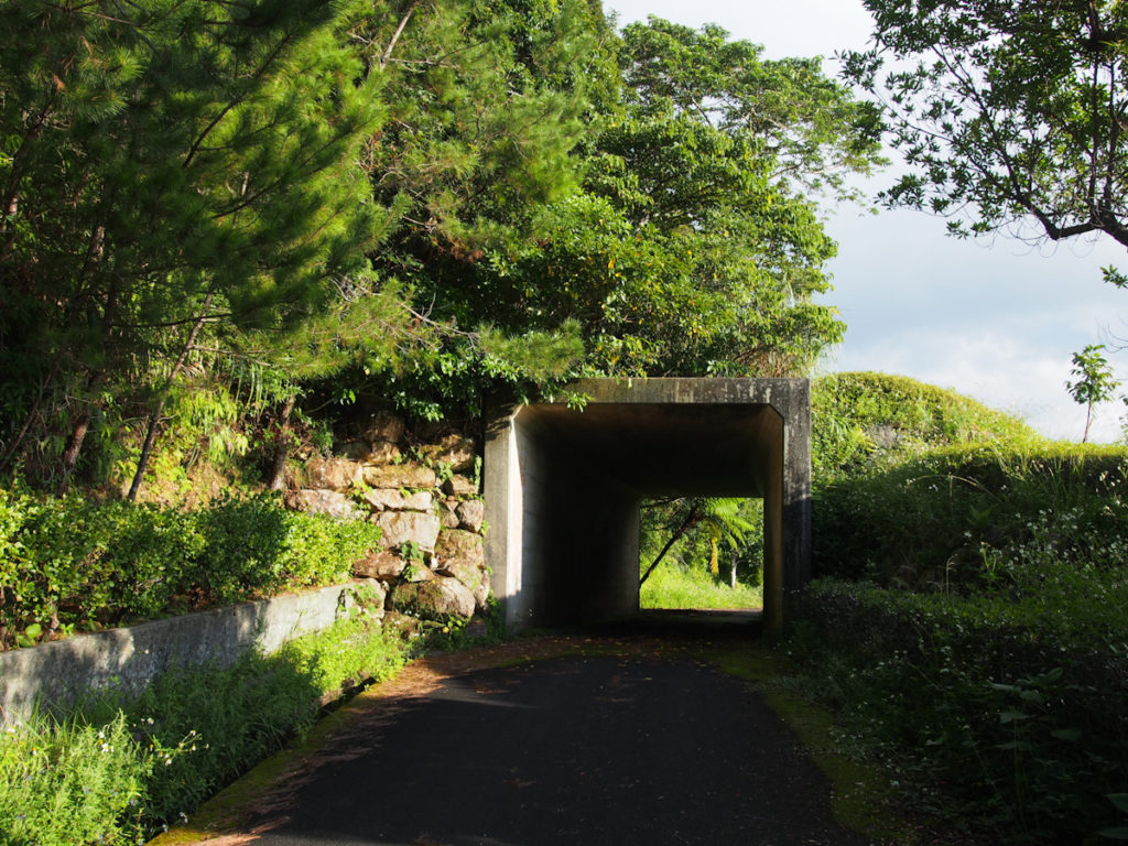 峰田山展望台へ行くトンネル