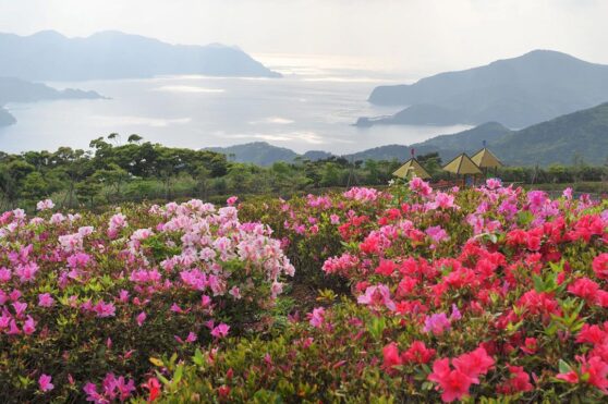 峰田山展望台(峰田山公園)