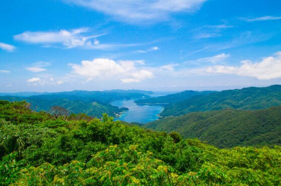 湯湾岳