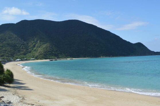 屋鈍海岸