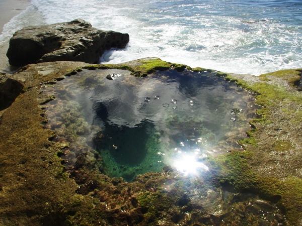 ハートロックの写真