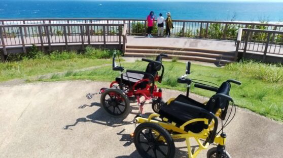奄美大島―COGYが広げる新しい旅の可能性