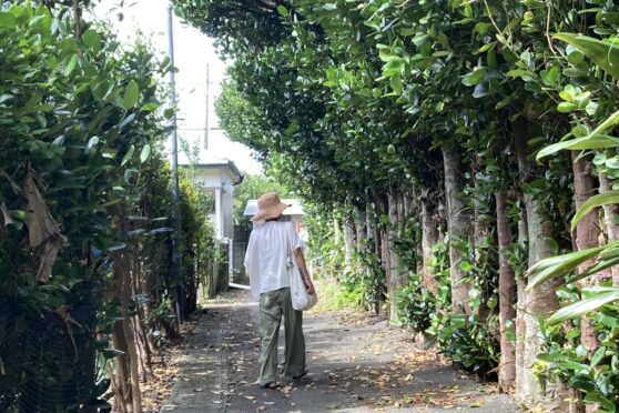 奄美プライベートツアーTabidori