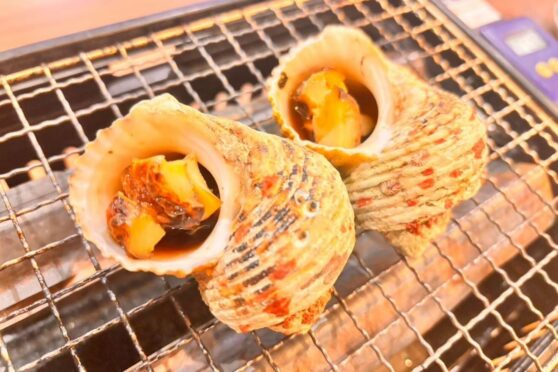 吞みんちゅ水産